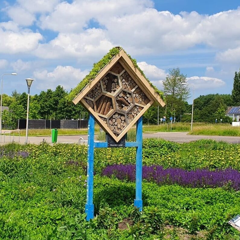 Opening duurzame bijenhotels